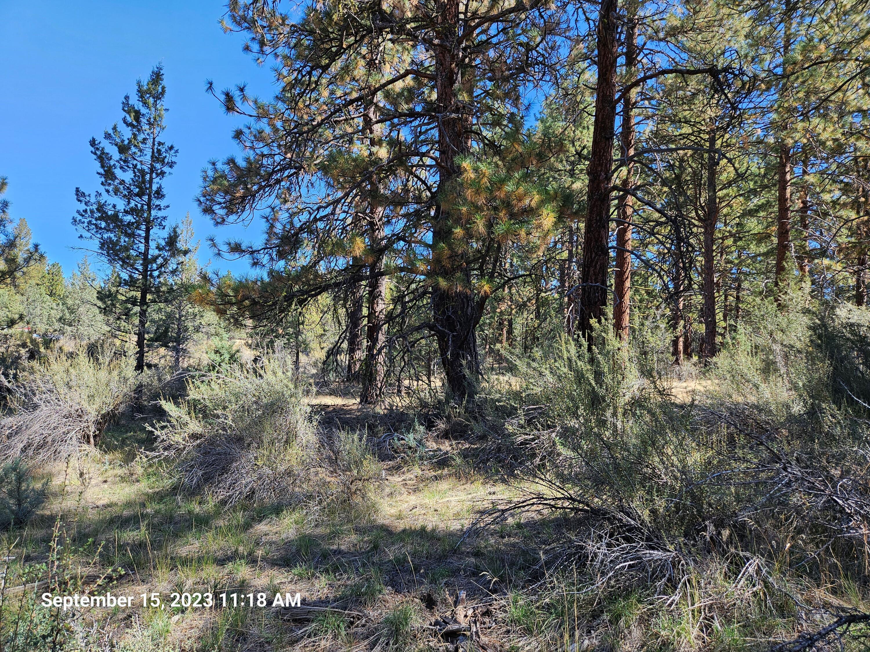 Klamath Falls Forest Estates Hwy 66 Unit Plat 4 - Land