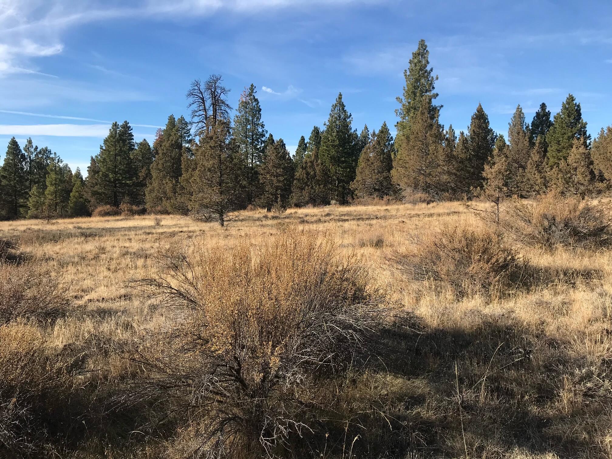 Klamath Falls Forest Estates Hwy 66 Unit Plat 4 - Land