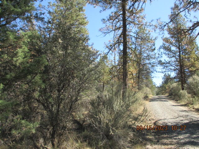 Klamath Falls Forest Estates Hwy 66 Unit Plat 4 - Land
