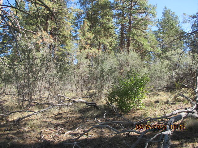 Klamath Falls Forest Estates Hwy 66 Unit Plat 4 - Land
