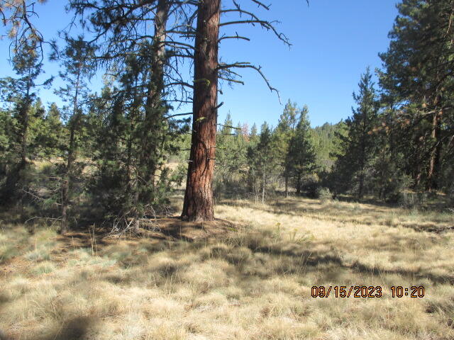 Klamath Falls Forest Estates Hwy 66 Unit Plat 4 - Land