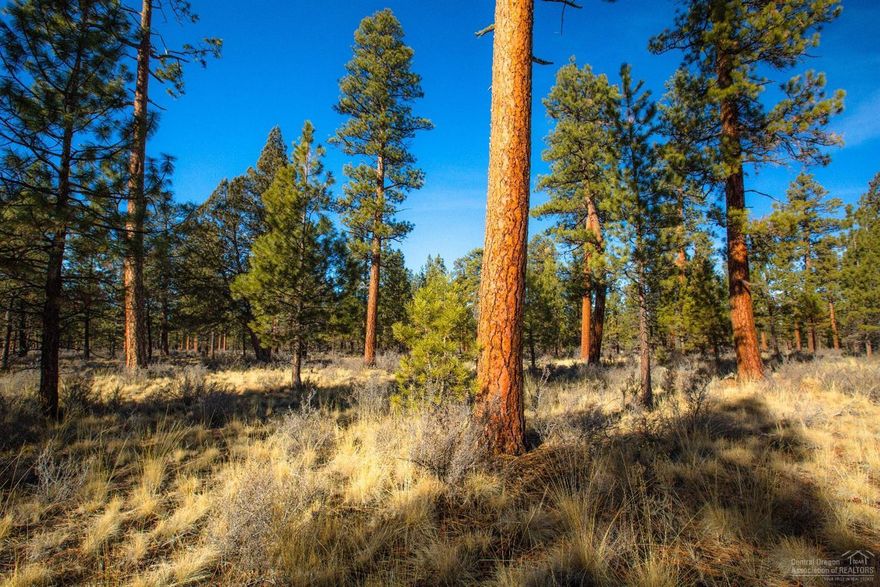 Welcome to ClearPine, Sisters' most exciting new neighborhood offering diverse designs & quality construction. Each home will be Earth Advantage Certified w/ easy access to hundreds of acres of National Forest trails & future central City Park, while still being just steps away from historic Downtown, Sisters! This flat and easy to build lot is located in Phase III w/ fantastic backyard privacy. You haven't seen it all until you have explored your options in ClearPine!