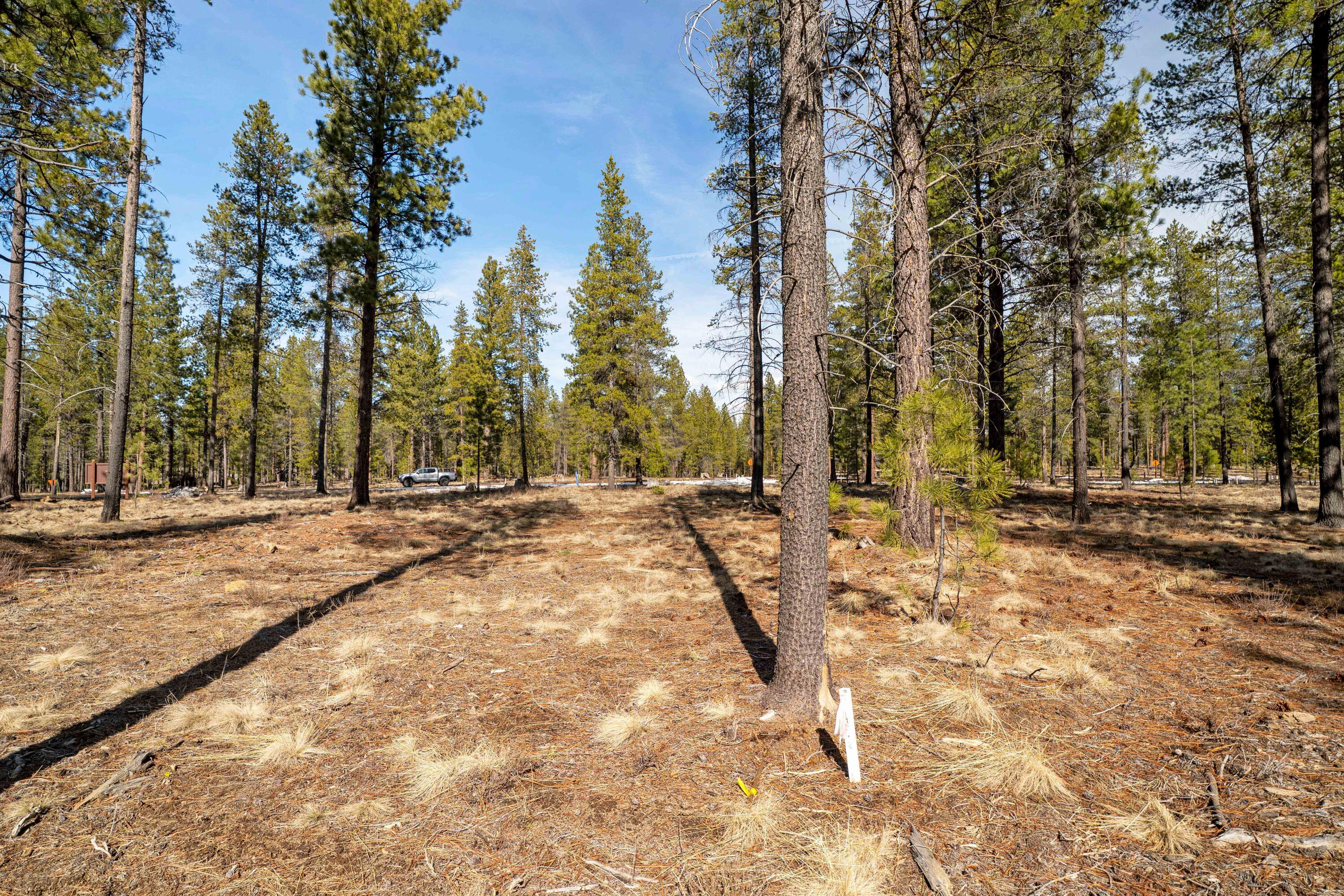 17736 Preservation Loop 482