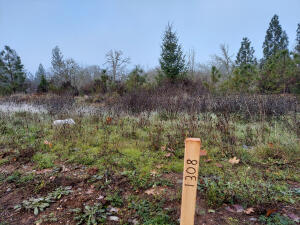 Photo of 1308 Green Valley Drive, Cave Junction, OR 97523 (MLS # 220227316)
