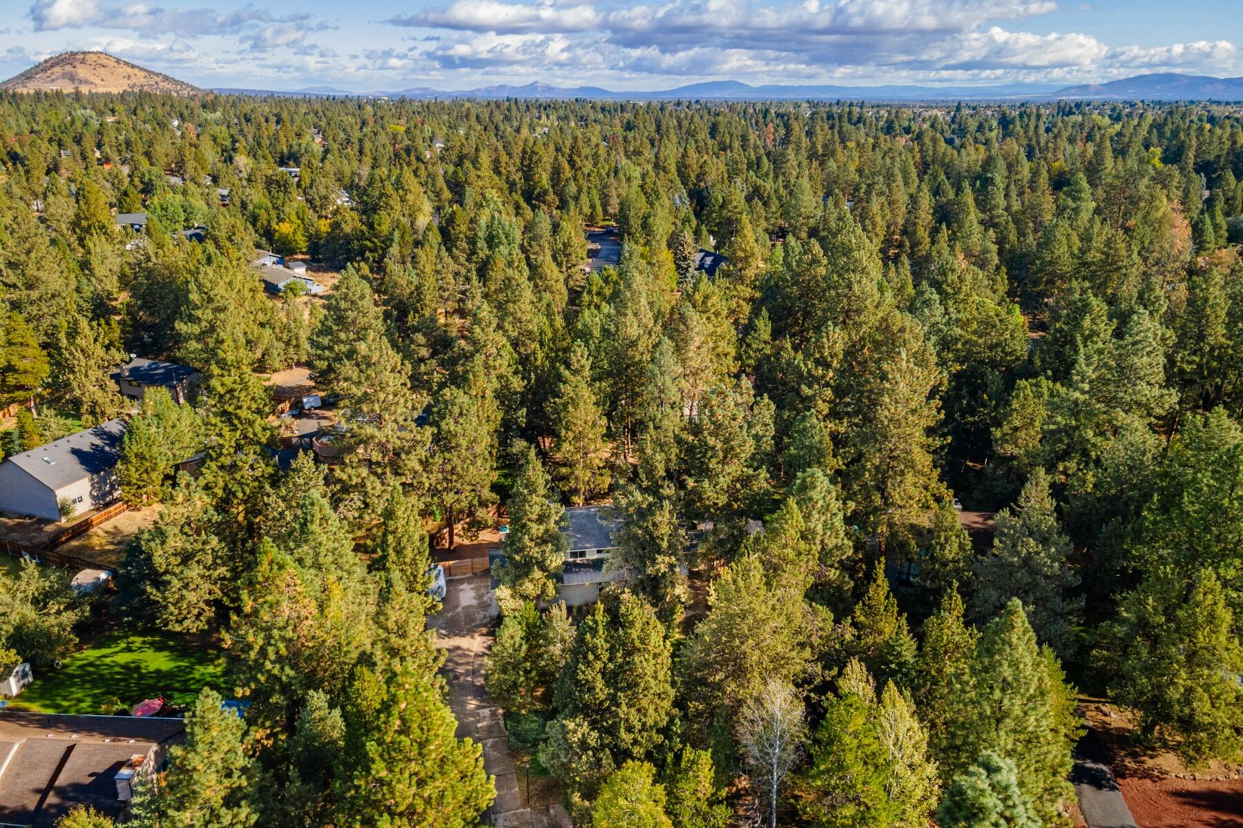 Kings Forest - Residential