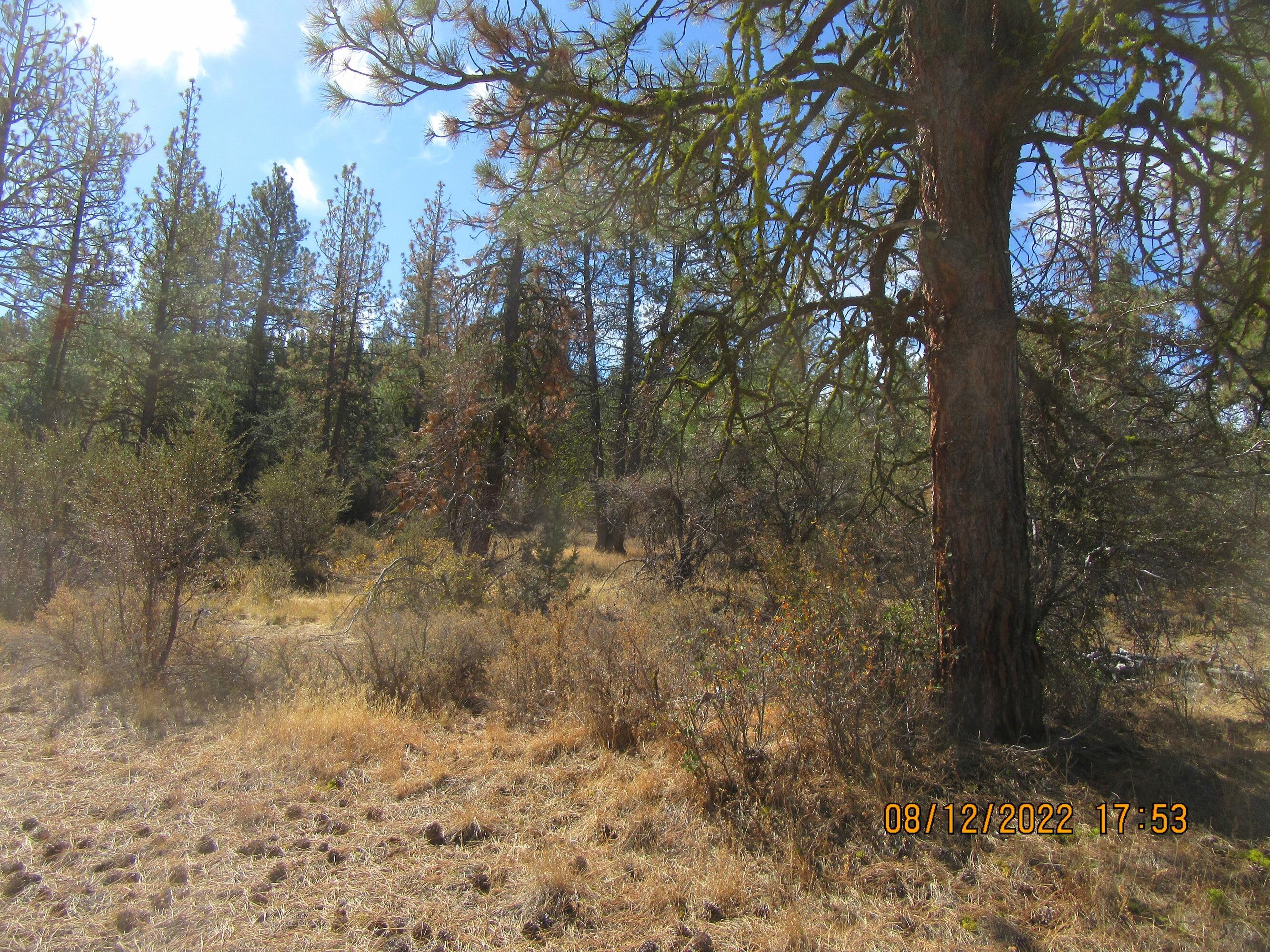 Klamath Falls Forest Estates Hwy 66 Unit Plat 4 - Land