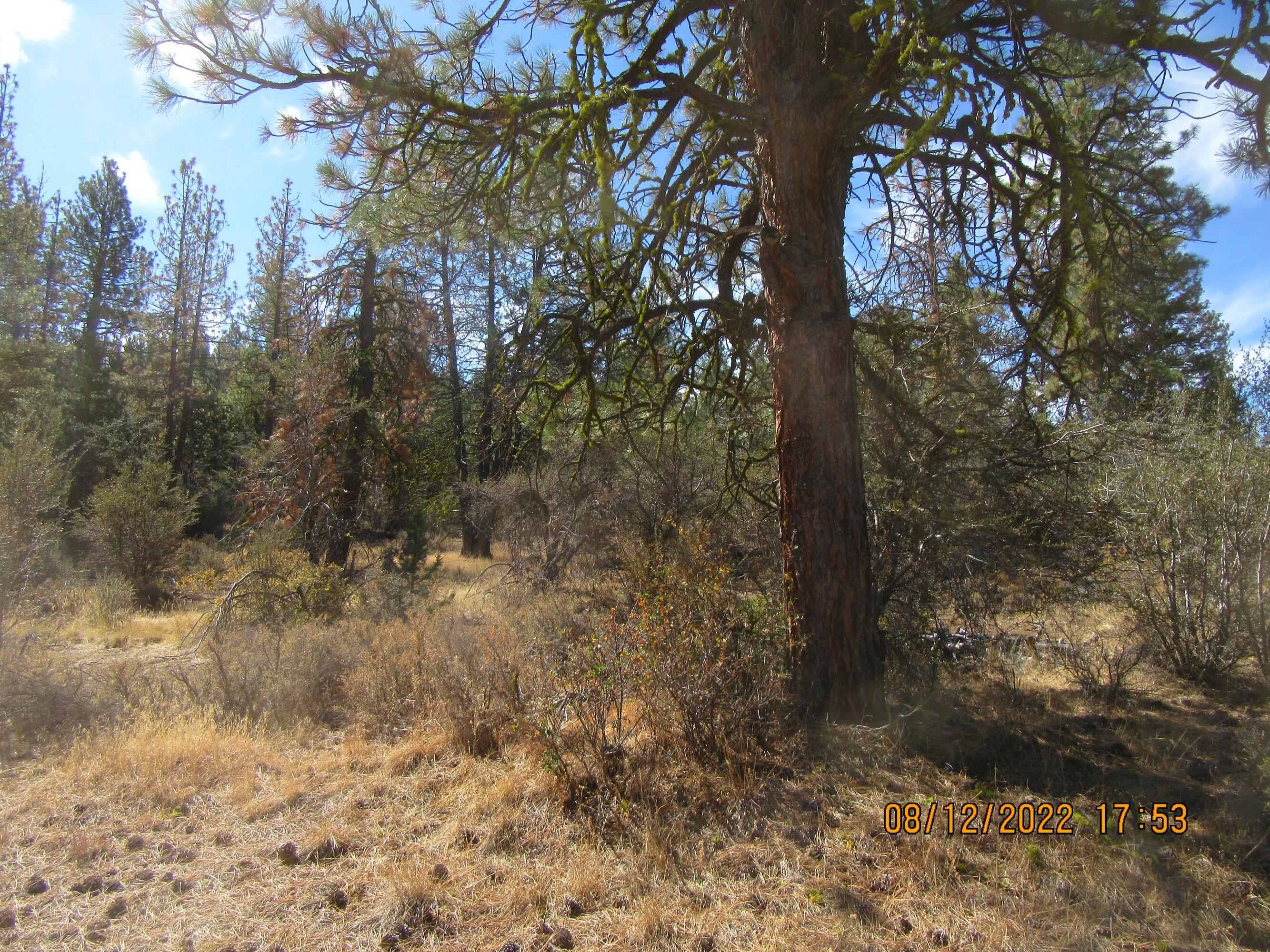 Klamath Falls Forest Estates Hwy 66 Unit Plat 4 - Land