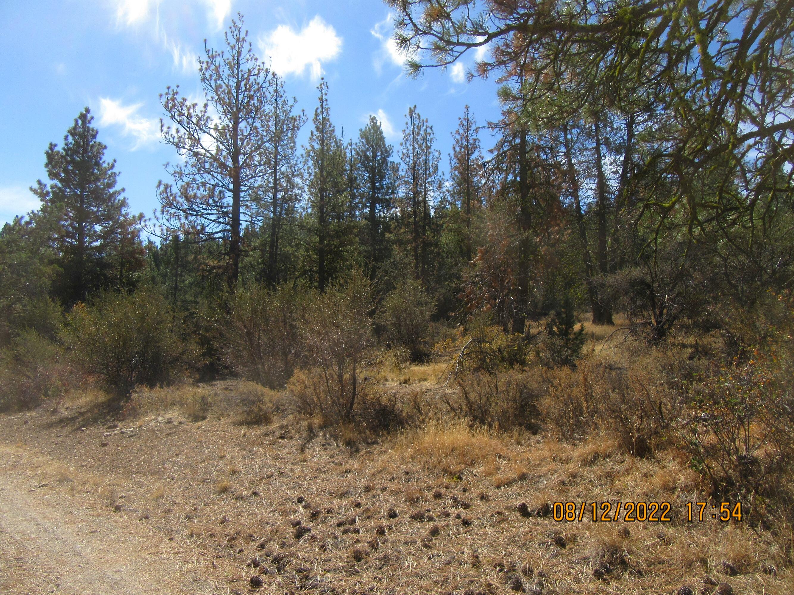 Klamath Falls Forest Estates Hwy 66 Unit Plat 4 - Land