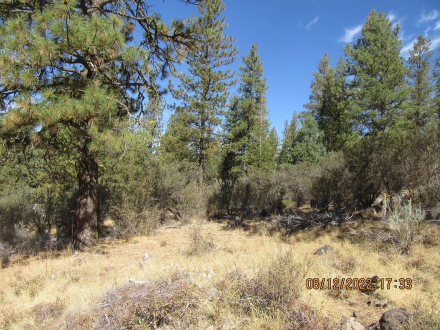7.82 Acres of Lovely Forest full of trees. Mostly Pine, Cedar and Fir. in Residential subdivision in forest. Lot has a slight slope to it. May be purchased separately or with Lot 12 W2 Blk 84 Brown Bear (MLS 220186915), also listed for sale.. Both properties meet in the middle in back of property for a total of 13.22 Acres. Both properties were spared from recent fire a couple years ago