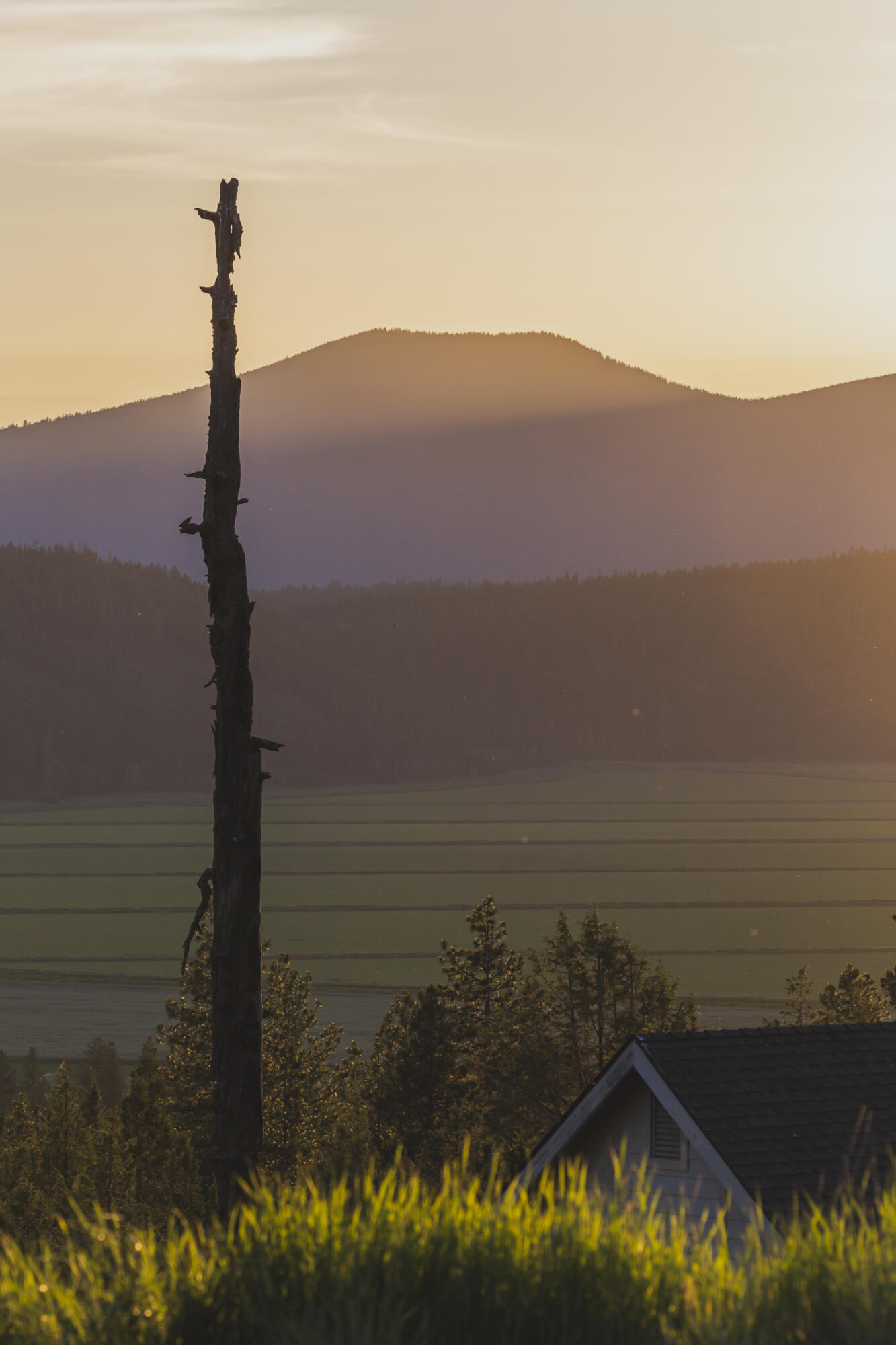 Ridgewater Subdivision -Phase 1 - Land