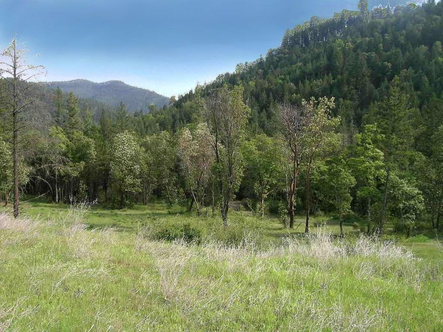 READY TO BUILD! Private homesite on over 27 acres. Well and septic are installed-utilities are to the site. Fantastic panoramic mountain views in a secluded location off Griffin Lane. The lot has been maintained by a professional forester. Planting and clearing over the last ten years done for beauty and fire safety. Although the homesite is very private, there is an active and caring neighborhood network keeping all interested homeowners informed about the community. This is a remarkable property-private and peaceful.