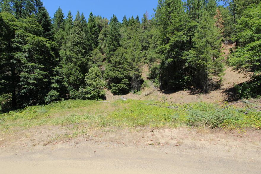 Owner carry, low down payment may be possible. Discover 10.75 acres of untamed Southern Oregon beauty, ideally located next to the historic Boswell Mine. Zoned Serpentine, this unique property holds potential for mineral exploration, recreational use, or an off-grid retreat and includes water rights. Johnson Gulch, a seasonal creek, runs through the land, adding natural charm and a valuable water feature. The terrain is rugged and raw, perfect for those looking to embrace the outdoors or invest in a distinctive slice of Oregon's mineral-rich landscape. Buyer to perform due diligence on zoning, land use, and access. Opportunities like this don't come around often—explore the possibilities today!