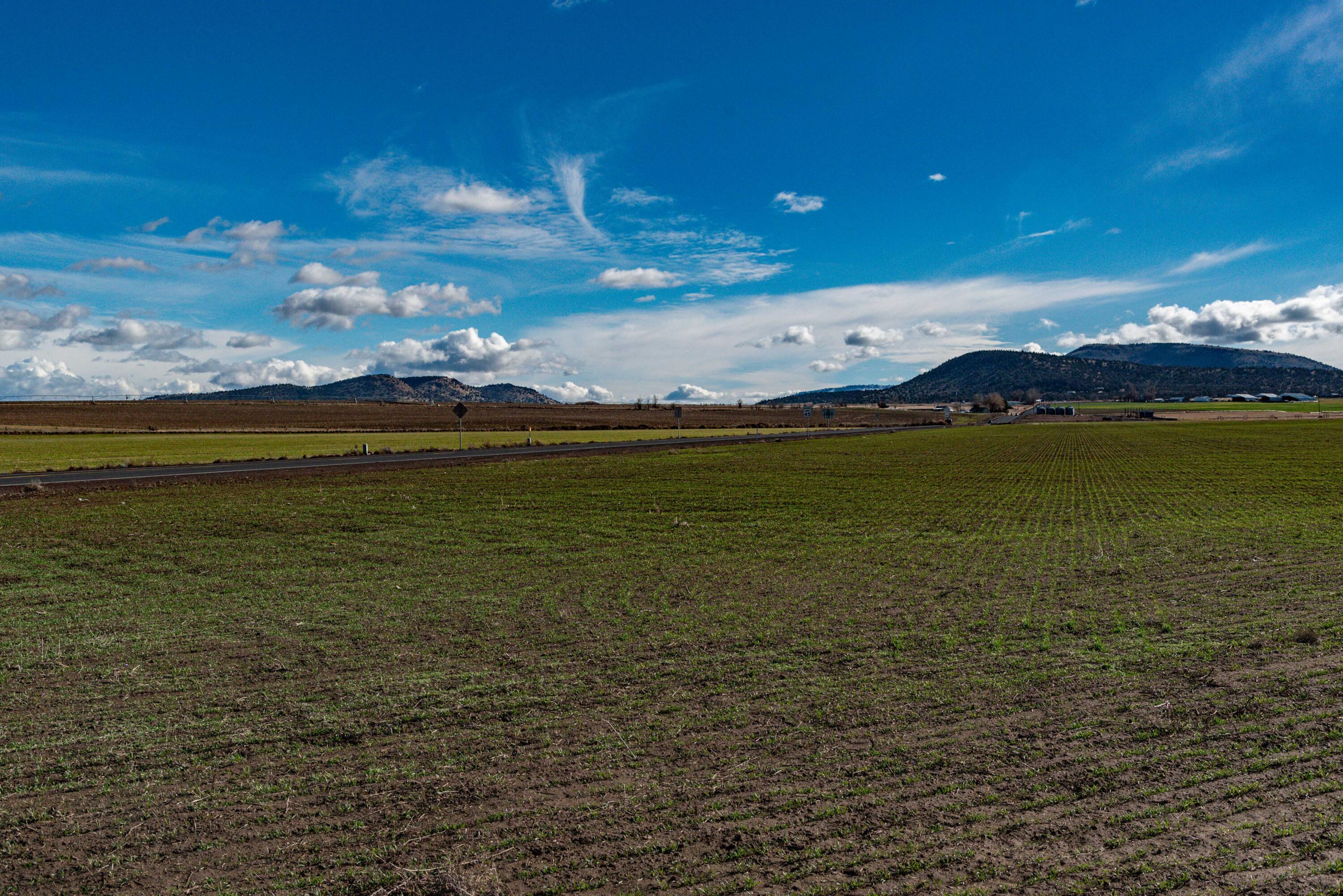 Culver Heights - Residential