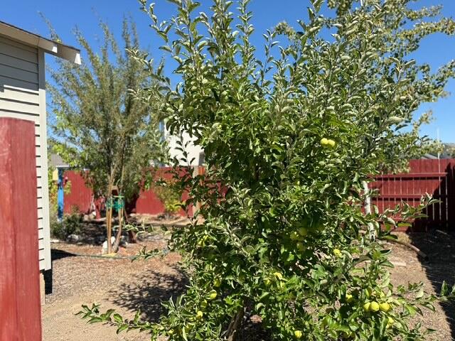 Culver Heights - Residential