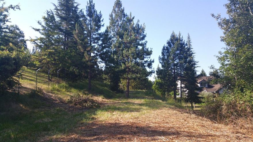 Beautiful 2.71 acre residential lot ready for your dreams, nestled at the end of a quiet street! Opportunity for legal 2 family set up with lot next door (3.53 acres also for sale). With some clearing, lovely views could be yours to build your dream home! Electricity and telephone are on the property.