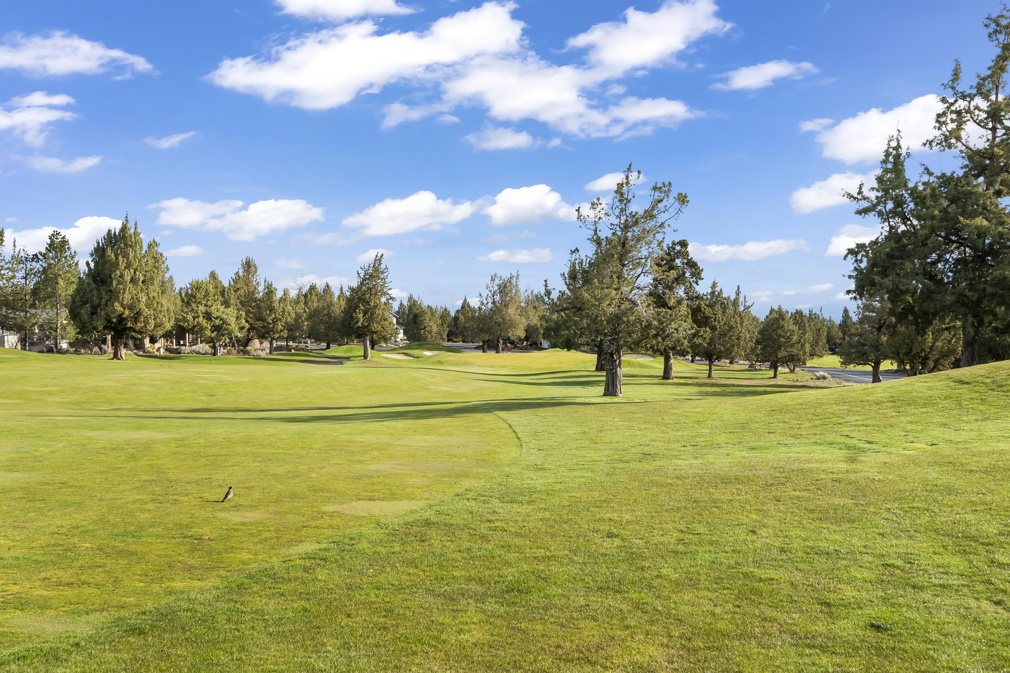 Eagle Crest - Residential