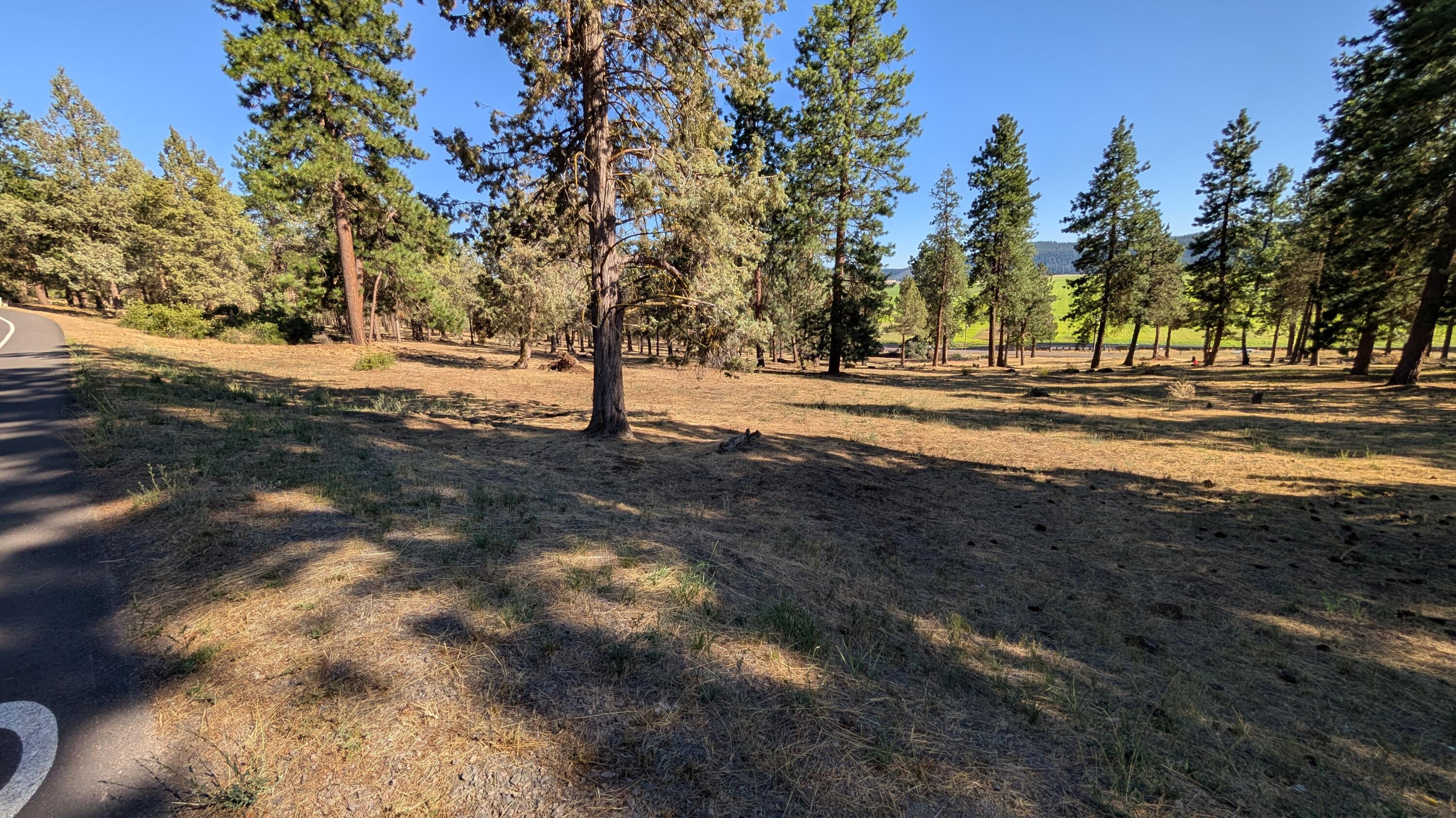 Running YResort - Land