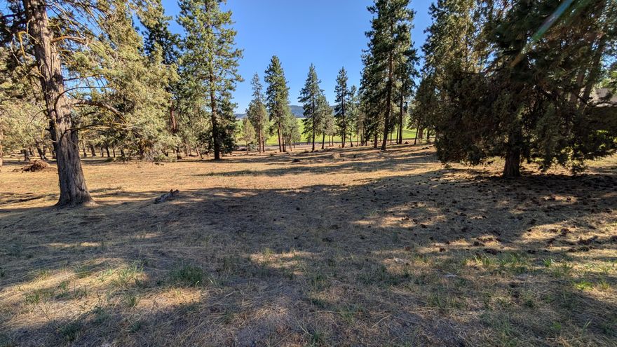 Large, beautiful lot at the Running Y Resort, waiting for your dream build! Underground utilities ready for connection. The resort offers tons of amenities including: an Arnold Palmer designer Golf course, spa, indoor swimming pool, ice-skating rink, restaurant, café, a lodge/hotel, convenience store, park, hiking/walking/running trails and lake access, horse back riding, and much more! Located close to Klamath Falls, Crater Lake, mountains, hiking, camping, kayaking, zip-lines, world class fishing, ski trails. The opportunities here are amazing.