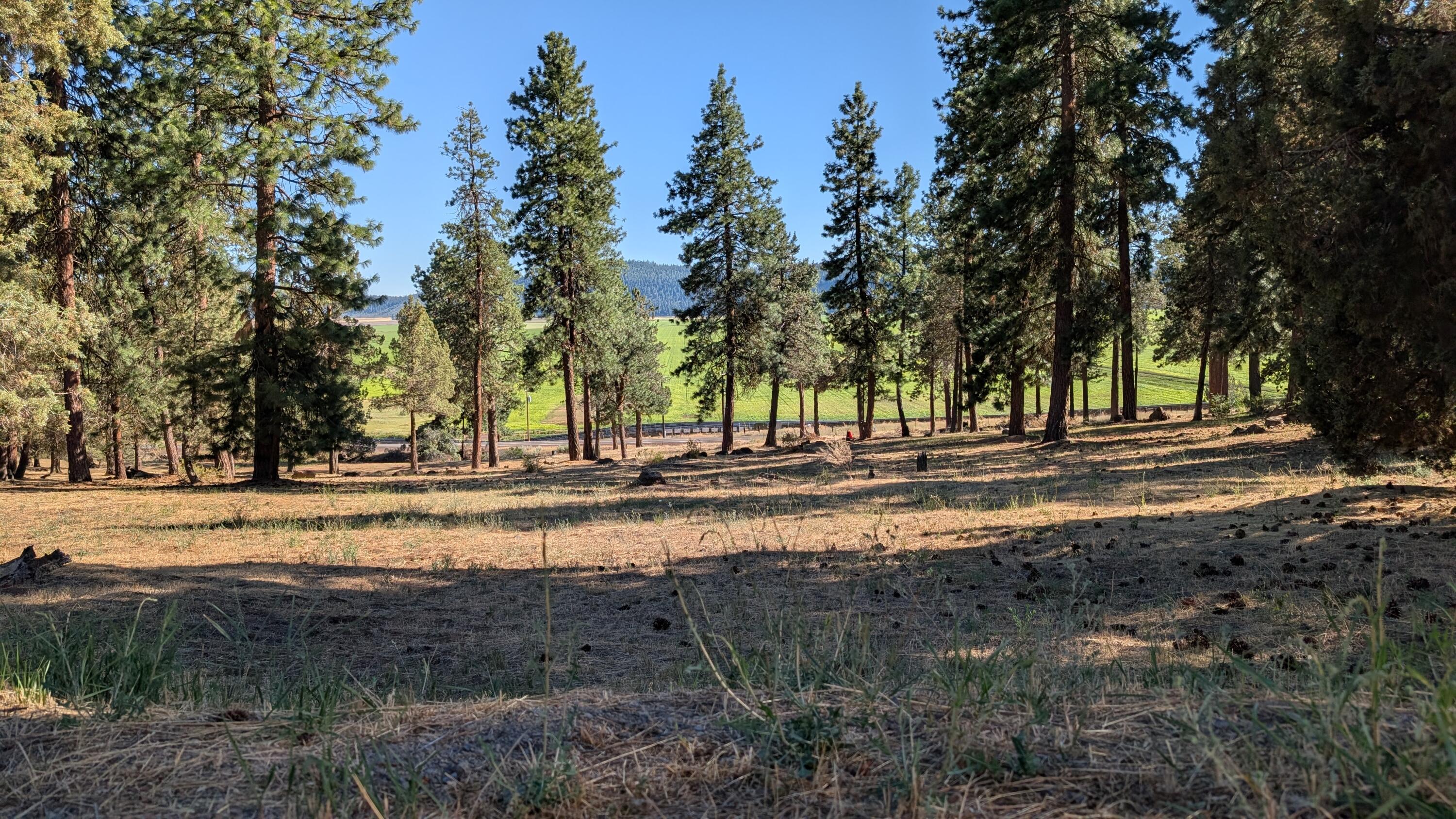 Running YResort - Land