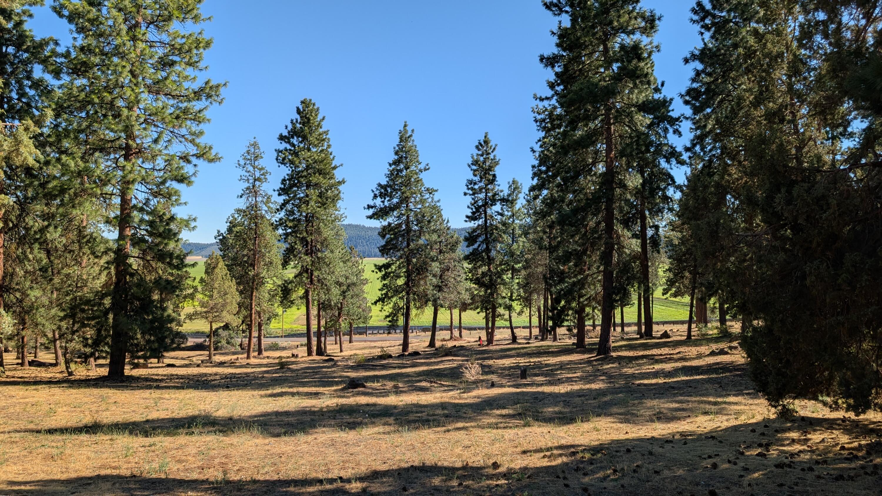 Running YResort - Land