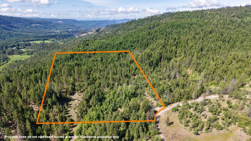 Discover 20.71-acres of pristine, private land nestled just 1.1-miles off Highway 62. This beautifully maintained property features a diverse mix of pine, Douglas fir, cedar, and madrone trees, offering both beauty and privacy. A well-cut in gravel road leads to a potential homesite, and a completed homesite feasibility summary is ready for your review. Zoned WR, this blank canvas offers endless possibilities. Borders on one side by 120-acres of BLM land, enjoy abundant wildlife, peaceful seclusion, and exceptional mushroom hunting. Despite the remote feel, you're still close to major road access. Whether you're searching to build a home, create a retreat, or simply invest in natural beauty, this land has it all. Don't miss this rare opportunity to own a slice of Oregon paradise!