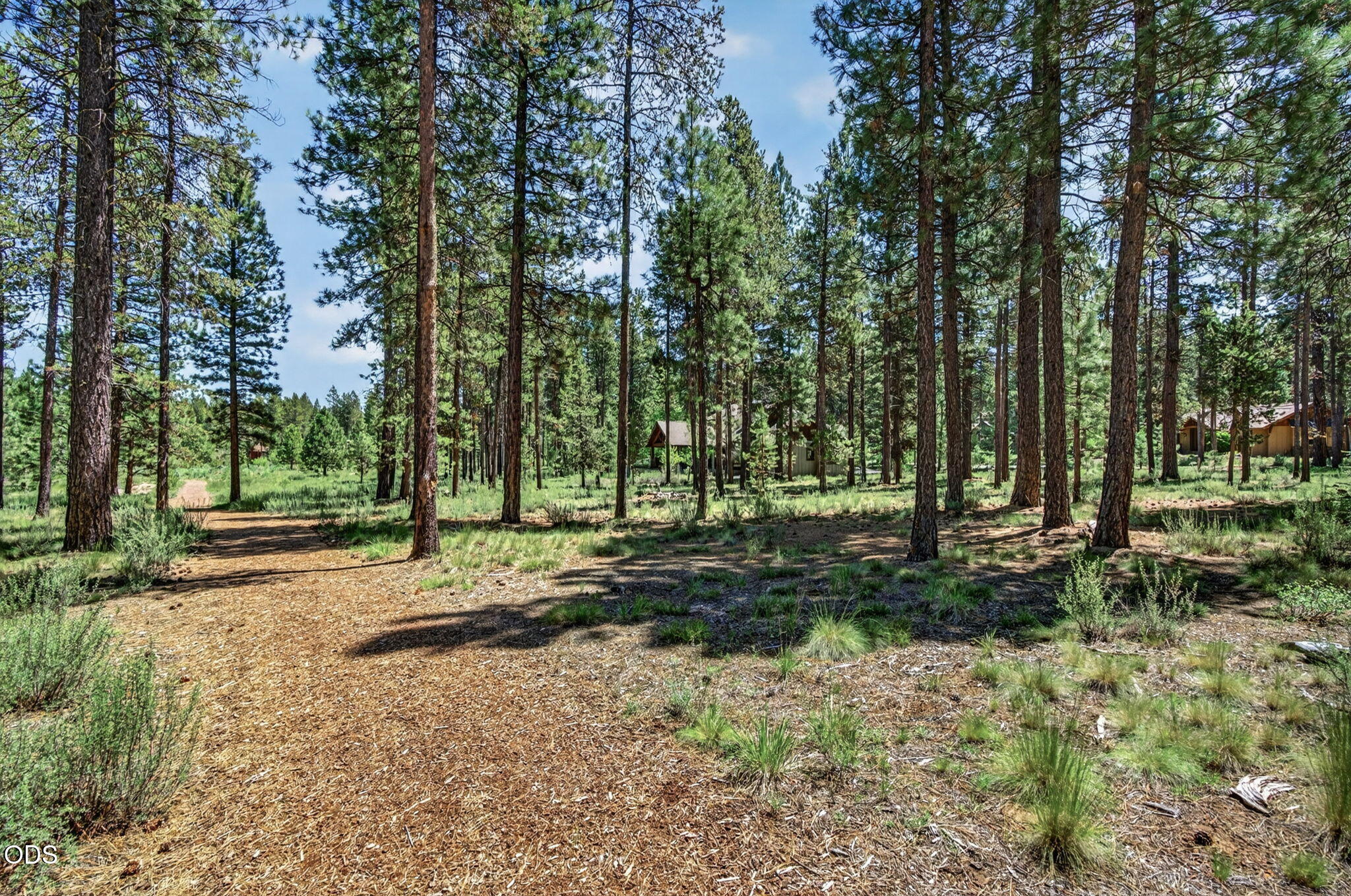 56288 Trailmere Circle