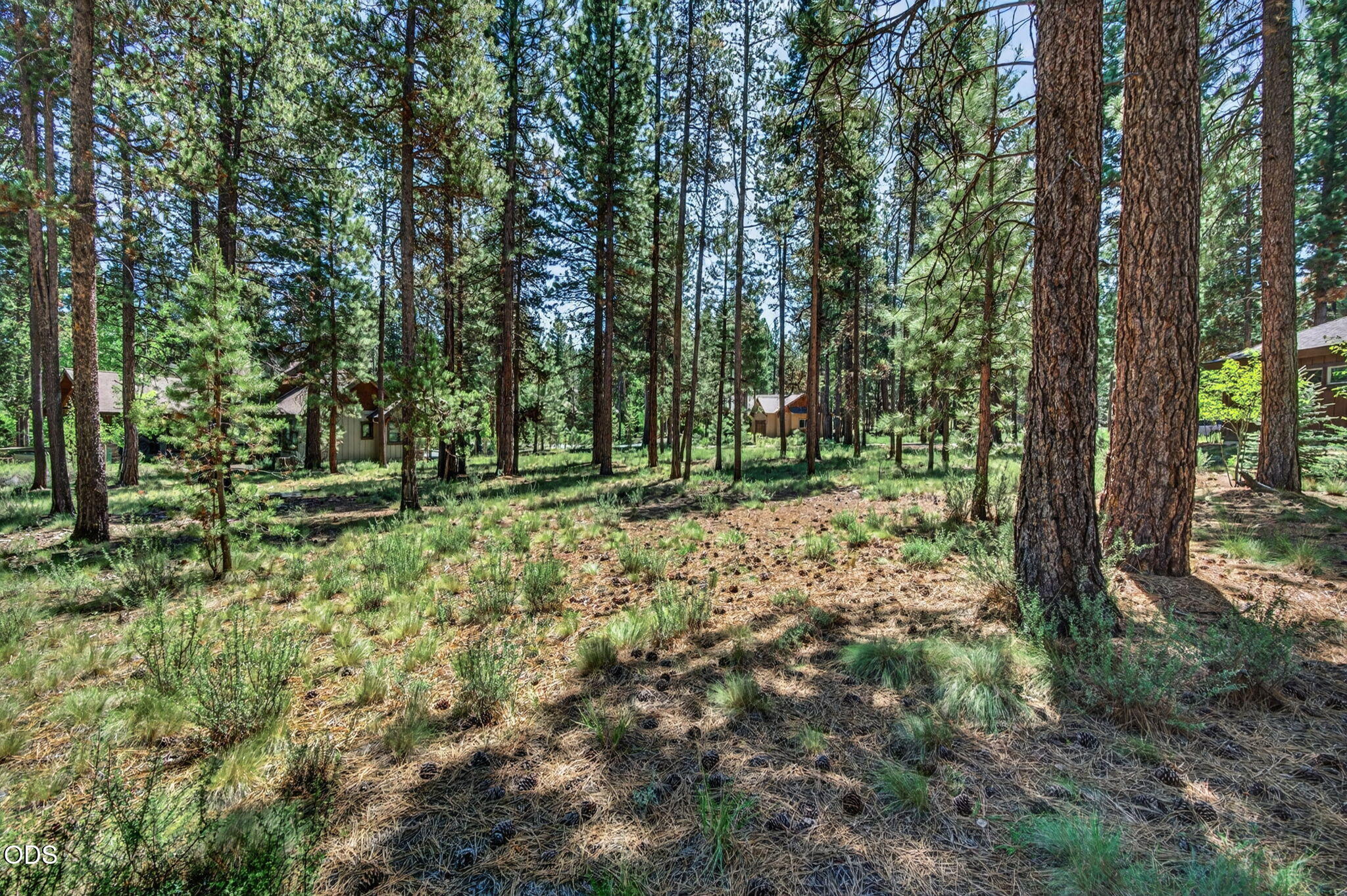 56288 Trailmere Circle