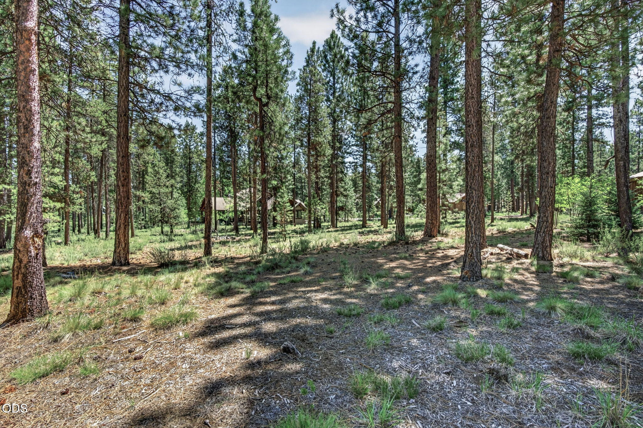56288 Trailmere Circle