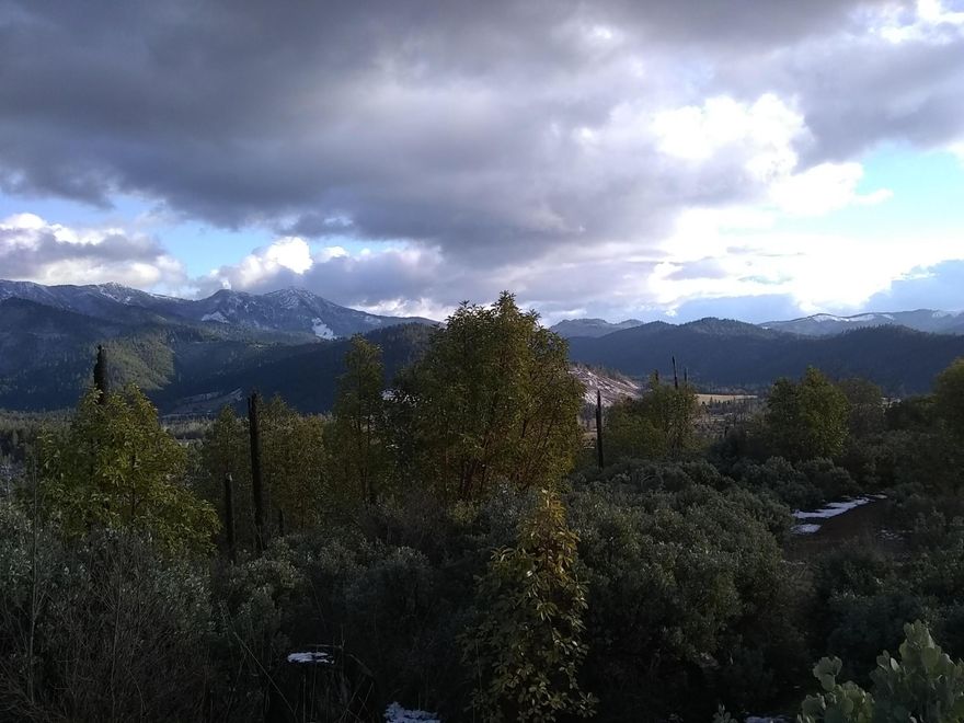 Private natural beauty! 37.26 Acre parcel with wonders to explore. Your choice of a sport, great hiking or quad riding adventure along the developed road system. Some sloping and wooded areas. The property features spring-fed ponds, garden area established for agricultural use full of sunshine, and diverse wildlife. Zoned Woodlot Resource. Septic system approved and in place with power pole to the property. Seller has inquired with Pacific Power to re-establish the service meter. Views at the top are spectacular! The forest contains Douglas Fir, Oak, Madrone and Cedar. Mountain views, opportunity, and seclusion make this a must see property! You can not find a better site in the Illinois Valley. Many possibilities for the right buyer. OWNER MAY CARRY. Inquire for maps and more information today!