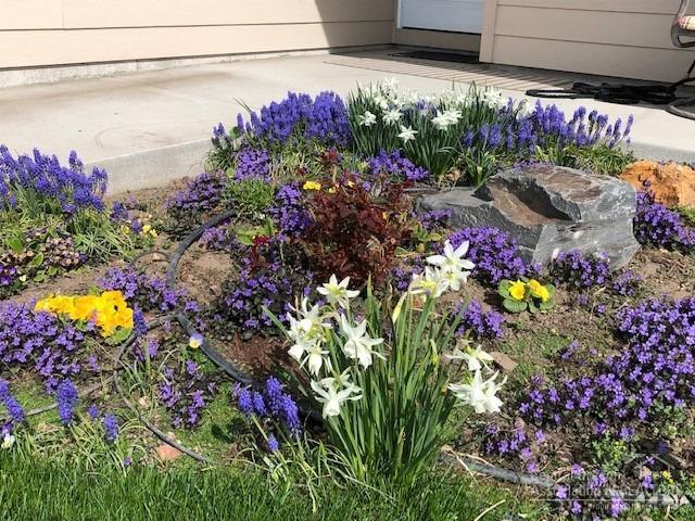 Culver Heights - Residential