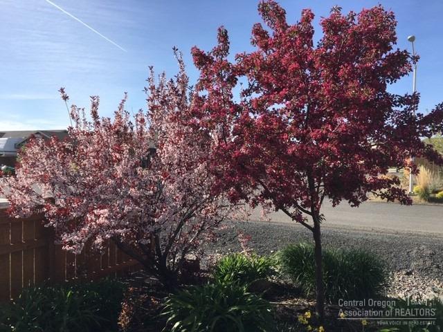 Culver Heights - Residential