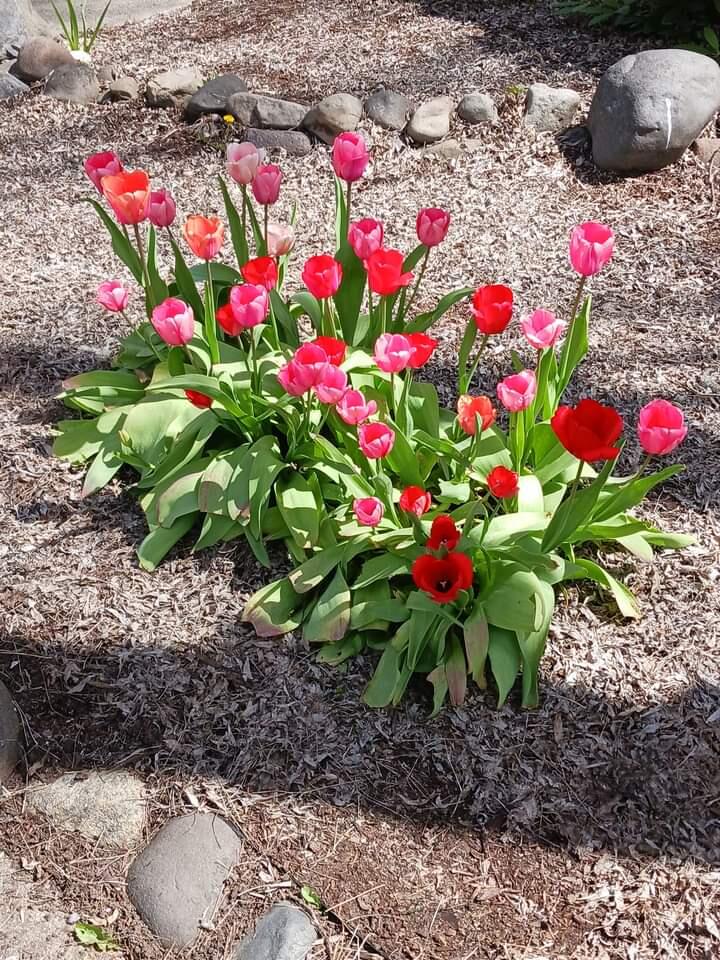 Butte Crest Subdivision - Residential