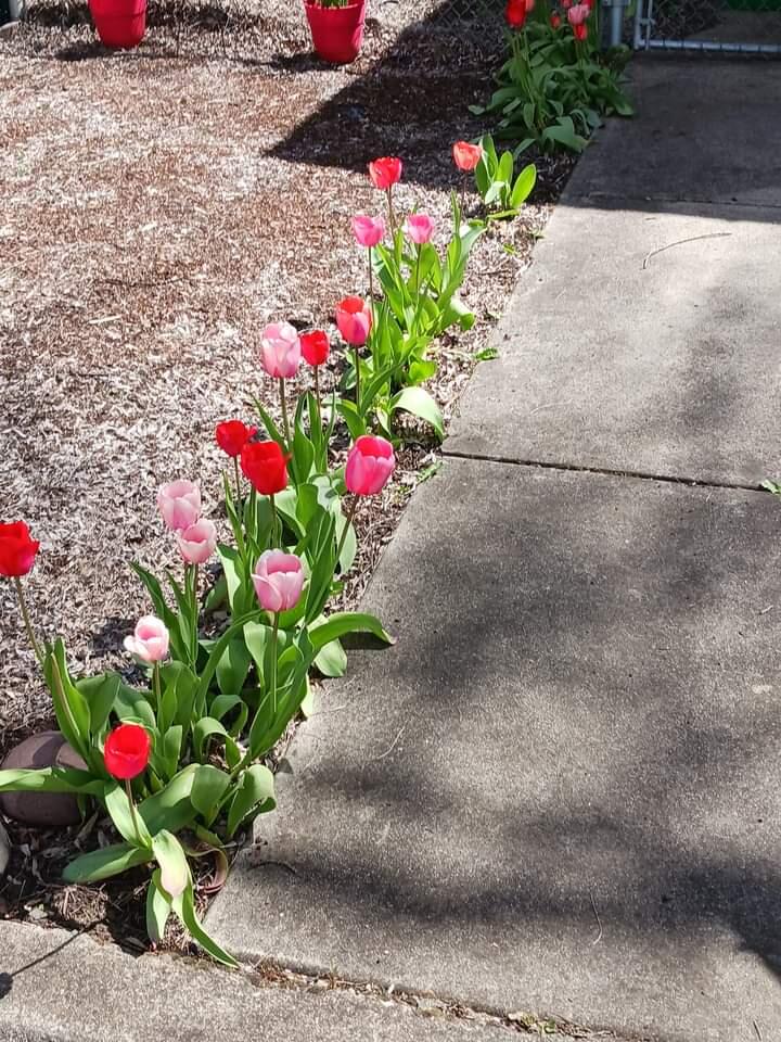 Butte Crest Subdivision - Residential