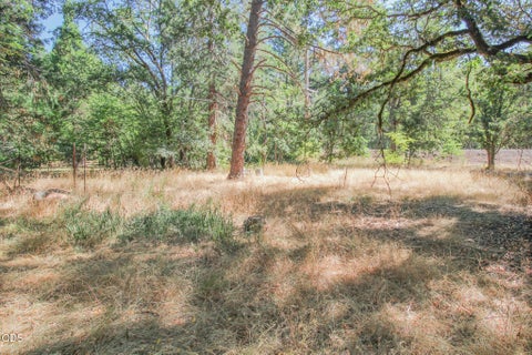 Tiny photo for 17516 Redwood Highway, Selma, OR 97538 (MLS # 220226883)