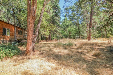 Tiny photo for 17516 Redwood Highway, Selma, OR 97538 (MLS # 220226883)