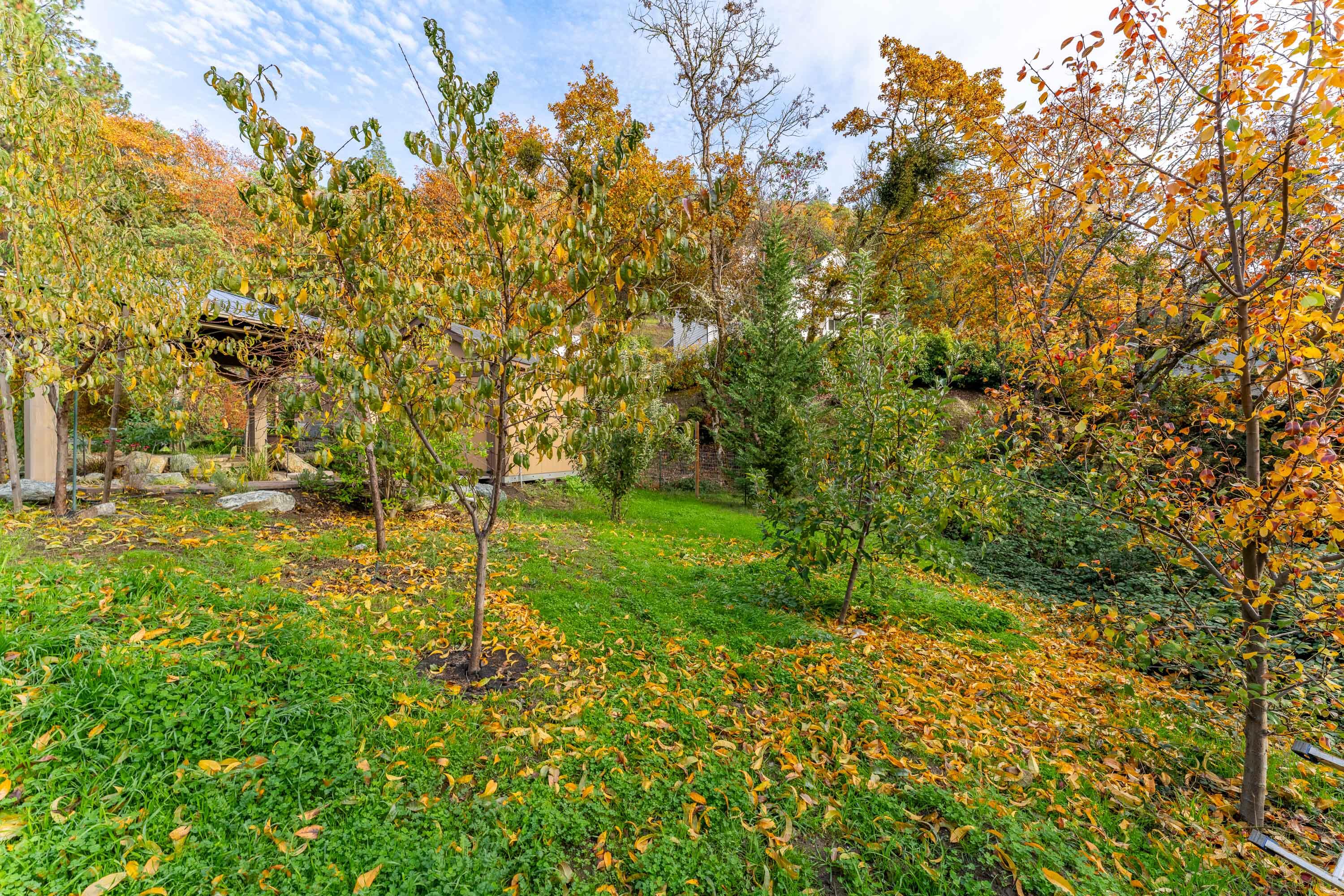 Woodland Terrace Subdivision - Residential