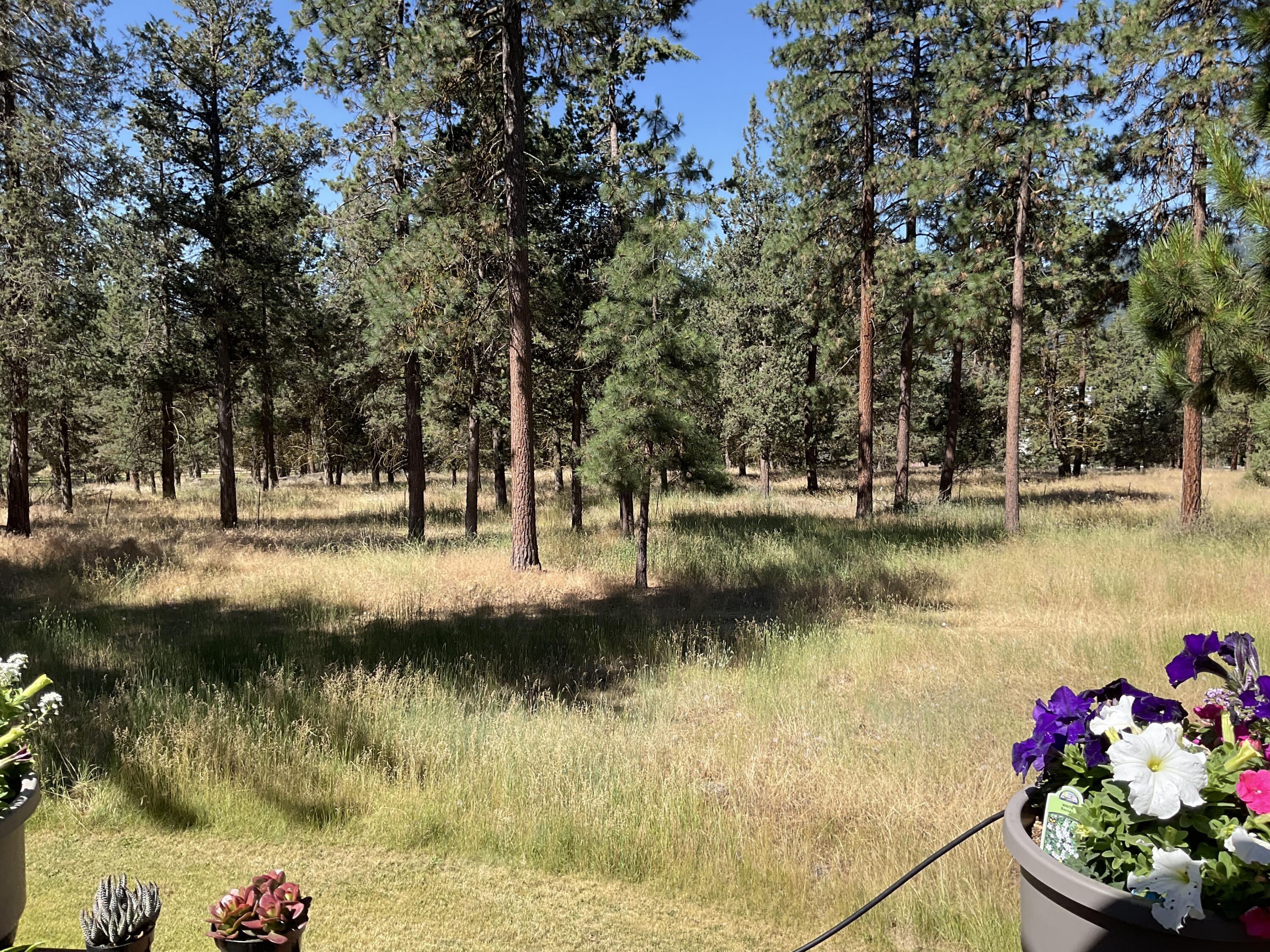 Running YResort - Residential