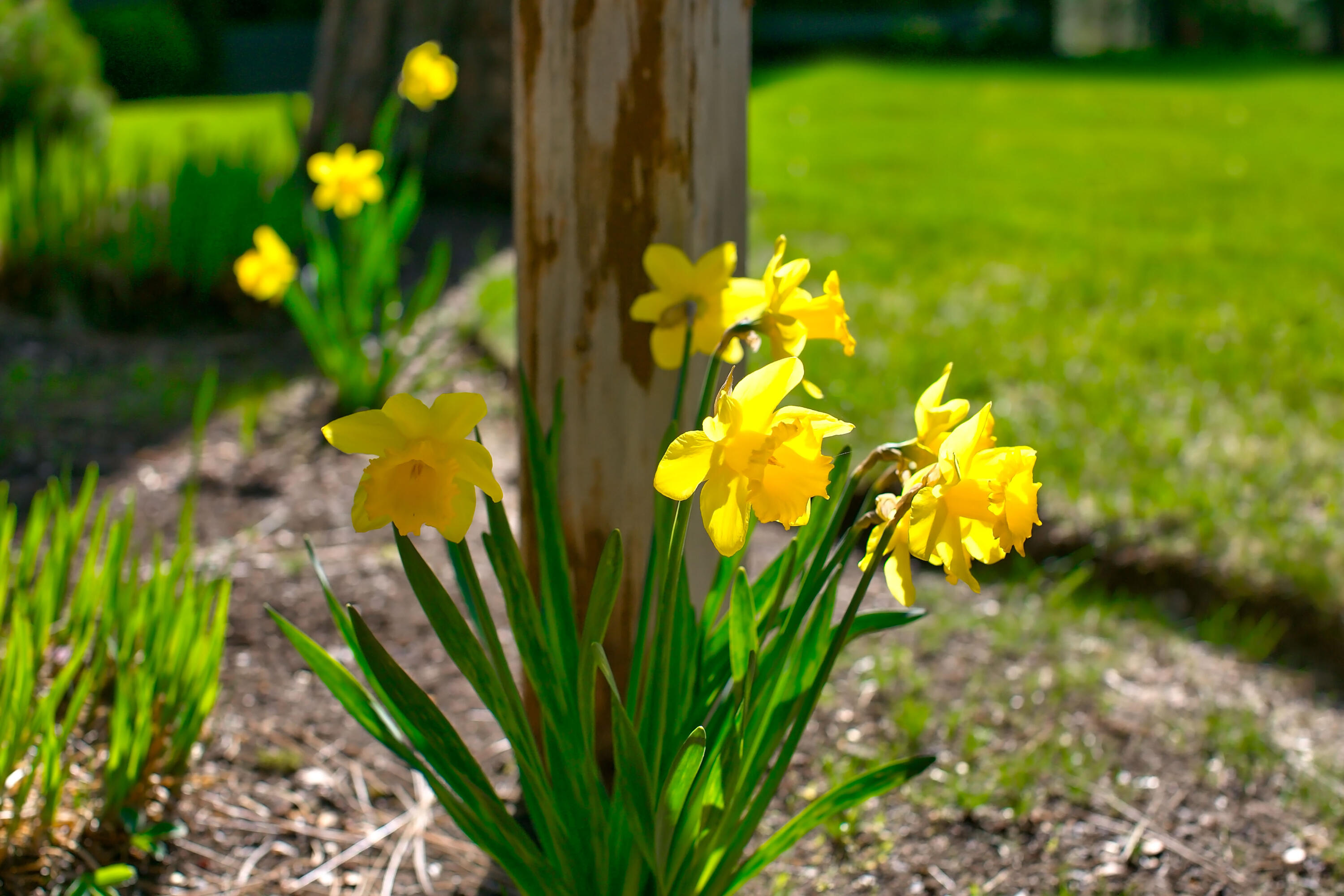 Glaze Meadow Homesite Section - Residential