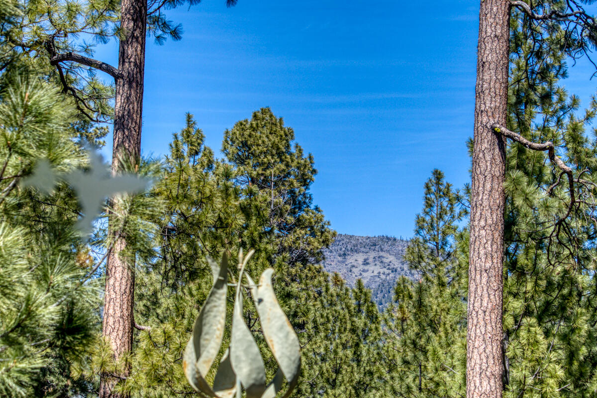 Black Butte Ranch - Residential
