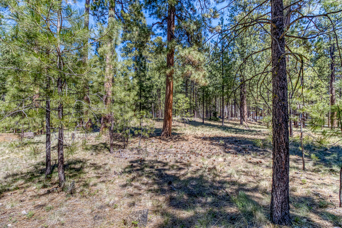 Black Butte Ranch - Residential
