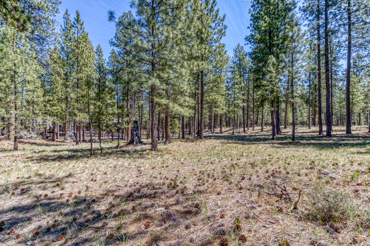 Black Butte Ranch - Residential
