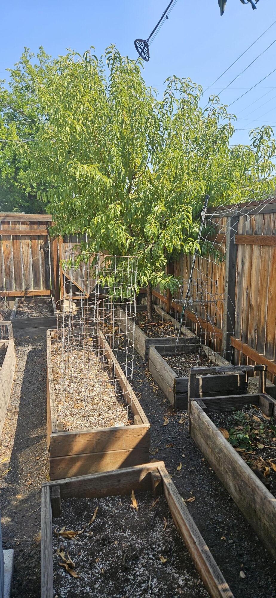 Emerald Flats - Residential