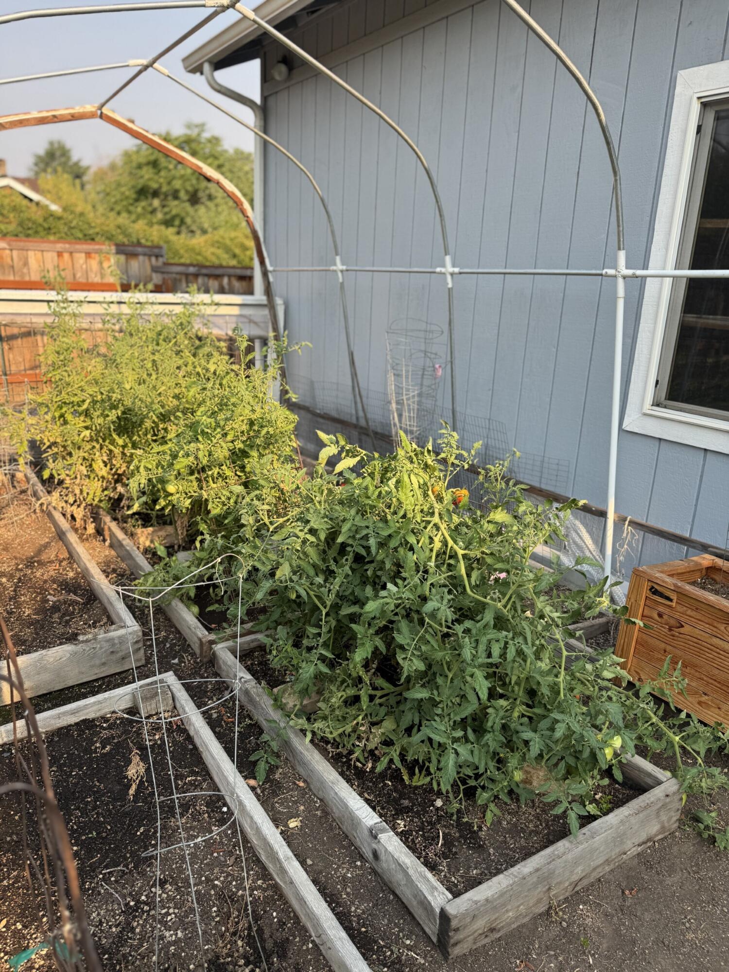 Emerald Flats - Residential