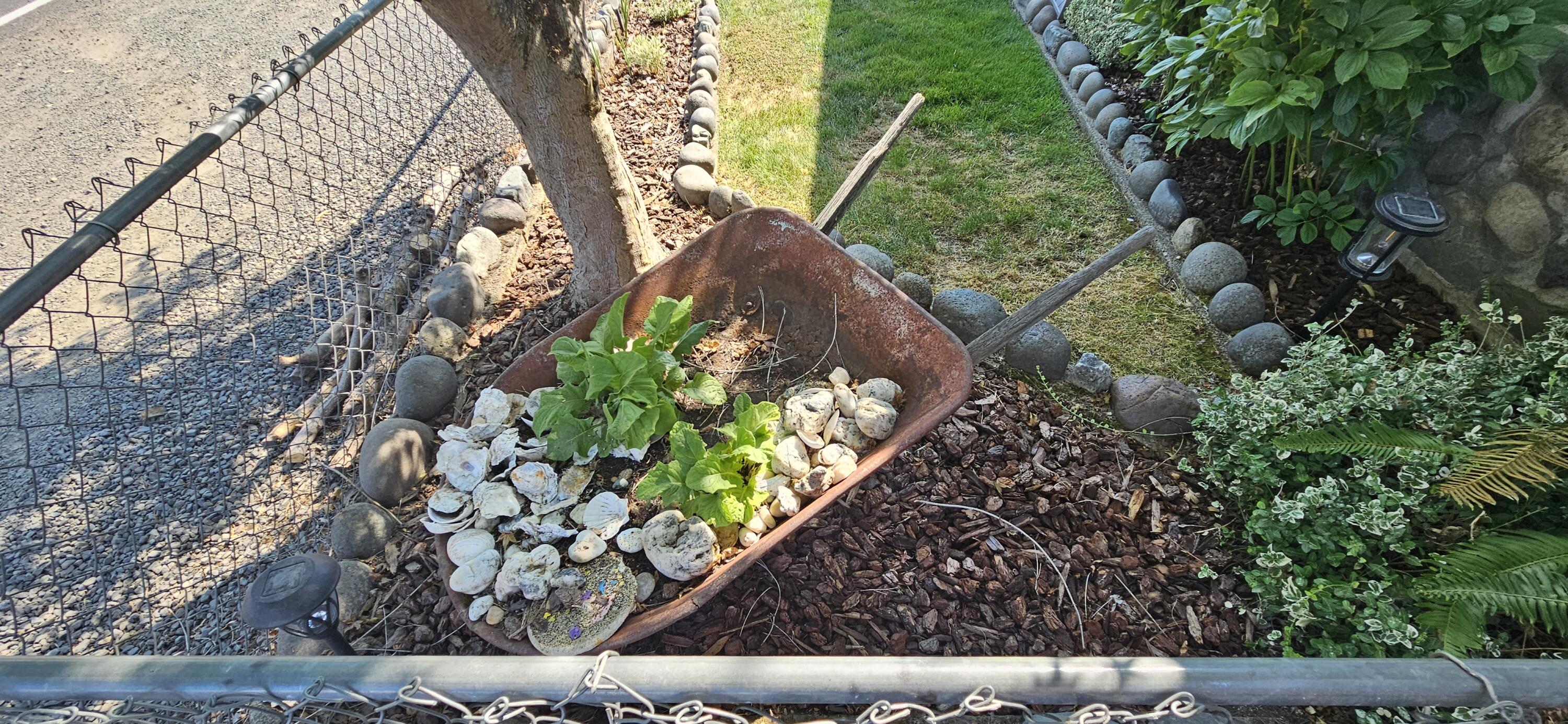 Emerald Flats - Residential