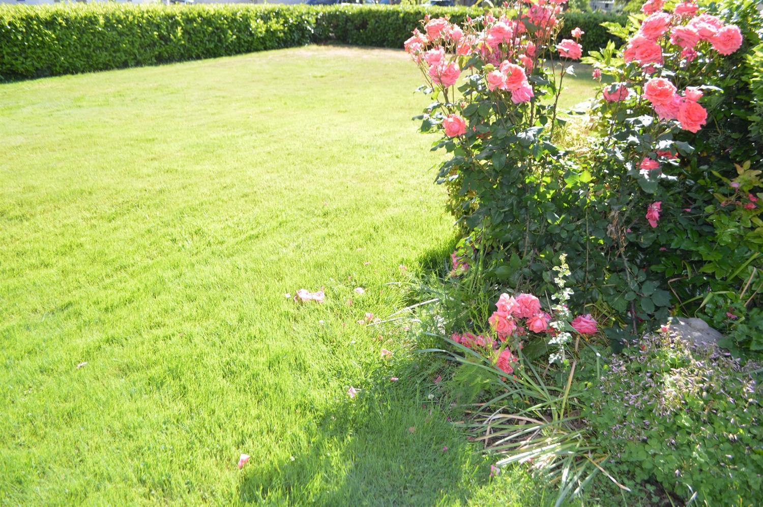 Pioneer Subdivision - Residential