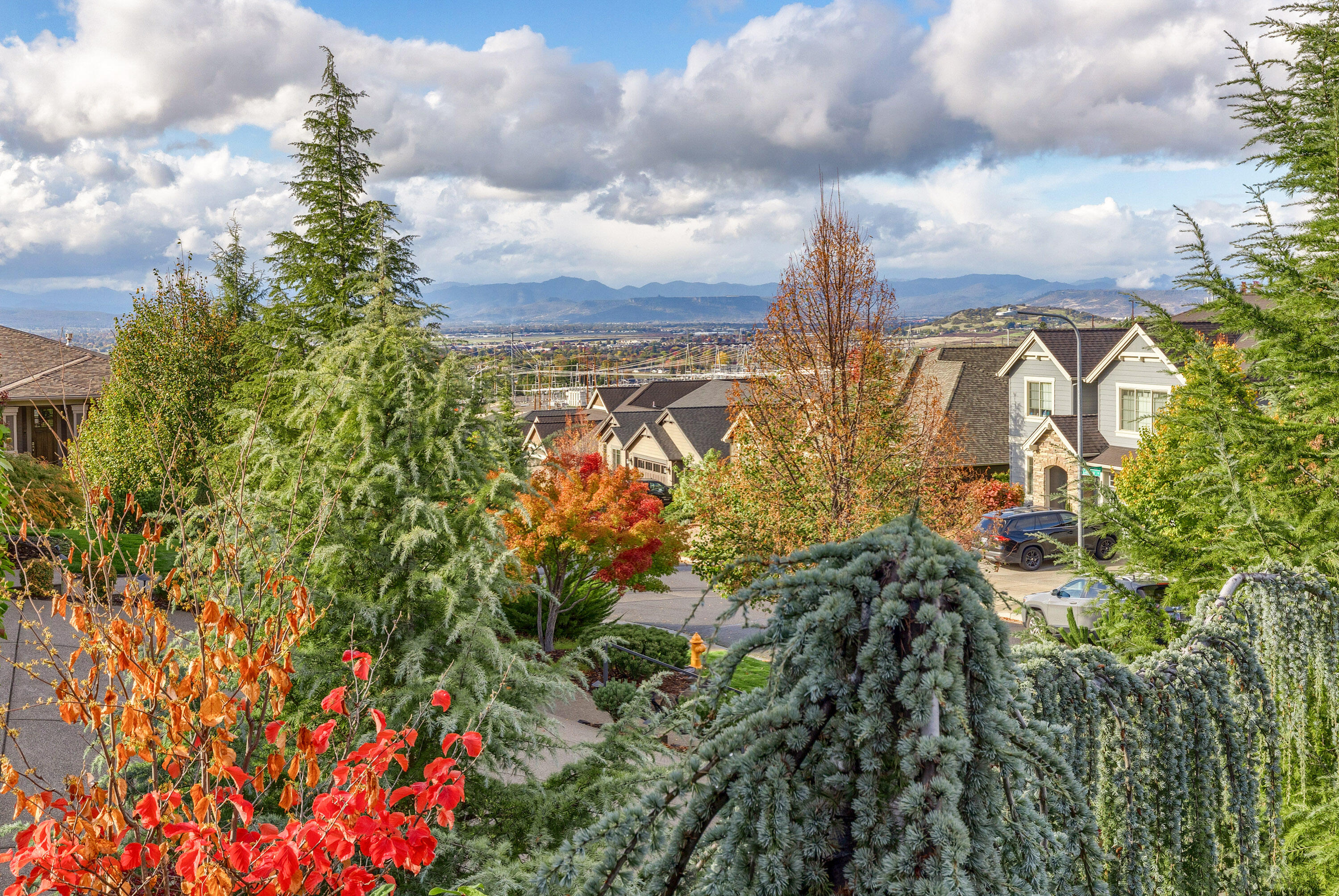 Bella Vista Heights Phases 1 & 2 - Residential
