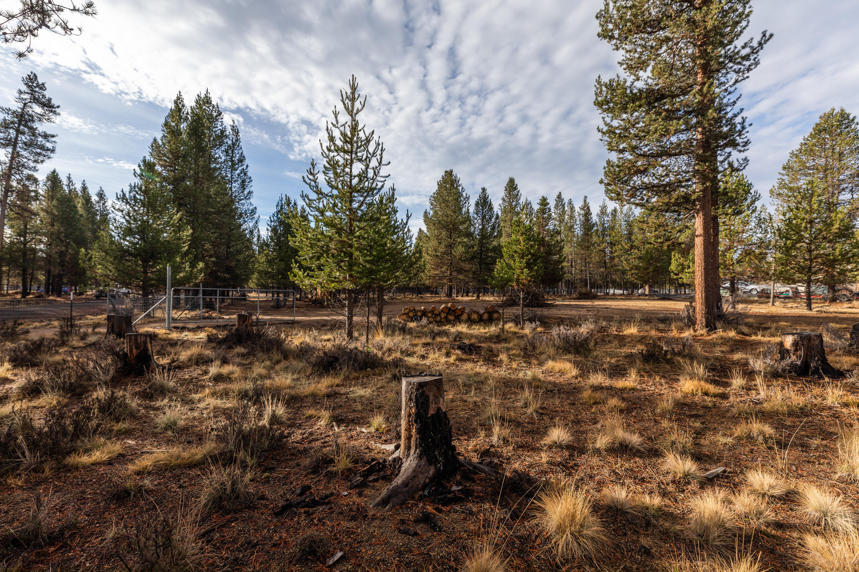 Sun Forest Estates - Land