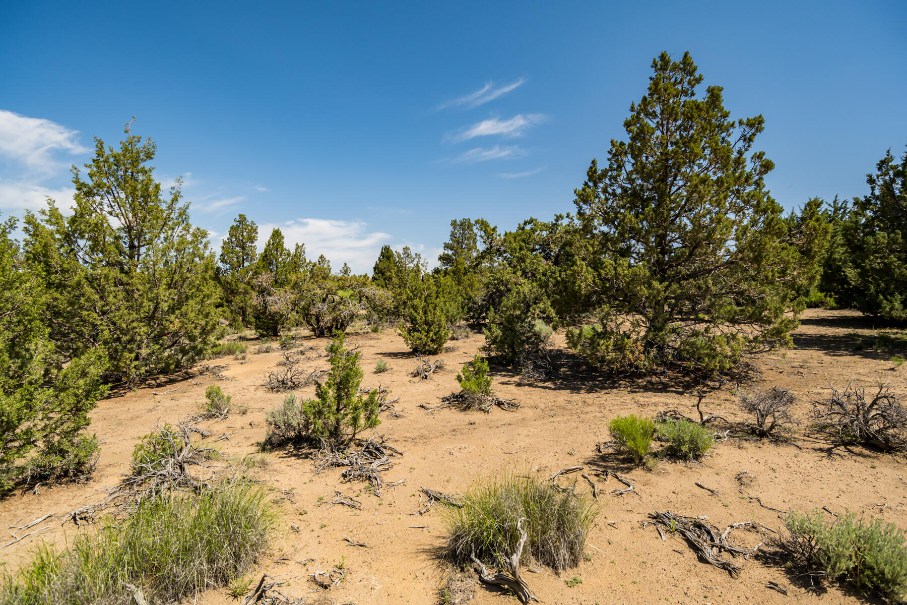 Brasada Ranch - Land