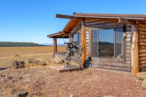 Tiny photo for 300 Road 49 Silverlake Highway, Chiloquin, OR 97624 (MLS # 220224864)
