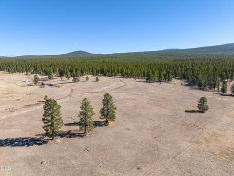 Tiny photo for 300 Road 49 Silverlake Highway, Chiloquin, OR 97624 (MLS # 220224864)